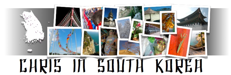 chris_in_south_korea_option_6
